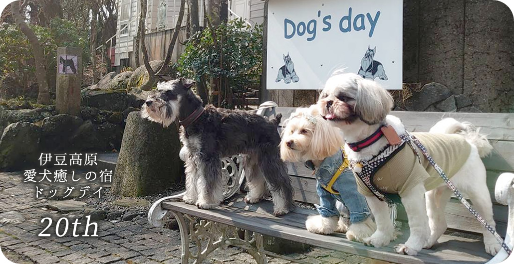 愛犬癒しの宿ドッグデイ：メインビジュアル